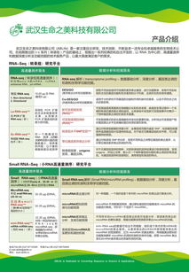 生命之美公司P1技術(shù)服務(wù) 以RNA為核心的高通量測序與深度功能挖掘